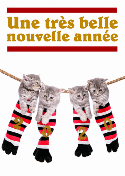 Carte 4 Chatons Dans Des Chaussettes : Envoyer une Carte 